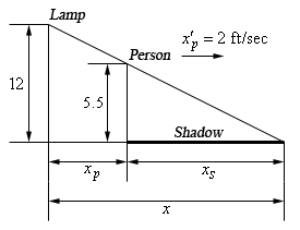 There are two triangles in this figure.  The smaller triangle fits inside the larger triangle with the base/hypotenuse of the smaller triangle on the base/hypotenuse of the larger triangle.  The height of the smaller triangle represents the person and is marked as “5.5”.  There is also an arrow here pointing right and marked \({{{x}'}_{p}}\) = 2 ft/sec showing the direction of motion away from the lamp.  The base of the smaller triangle represents the shadow the person casts and is labeled \(x_{s}\).  The height of the larger triangle represents the lamp and is marked as “12”.  The base of the larger triangle represents the distance from the lamp to the person, labeled  \(x{p}\), and the length of the shadow, again labeled \(x_{s}\).  The total length of the base of the larger triangle is labeled x.