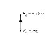 In this sketch there a dot representing the object and an arrow pointing down from the dot labeled $F_{G}=mg$.  There is also an arrow pointing down from the dot labeled $F_{A}=-0.8\left| v \right|$.